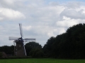 DSC06974