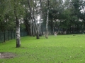 DSC06990