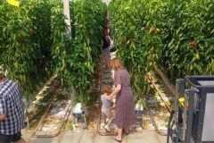 IMG_20230604_134652_6