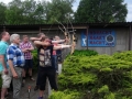 DSC02993.JPG