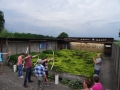 DSC03002.JPG
