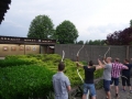 DSC03003.JPG