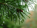 DSCF1082