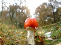 DSCF1089