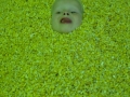 DSC04200