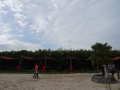 DSC04225