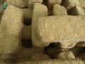 DSC07013