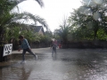 DSC07017