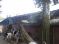 DSC07019