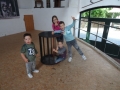 DSC07022