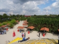 DSC07032