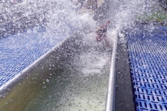 IMG_20230917_131603_0