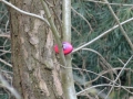 DSC02777.JPG