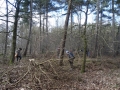 DSC02803.JPG