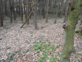 DSC00092